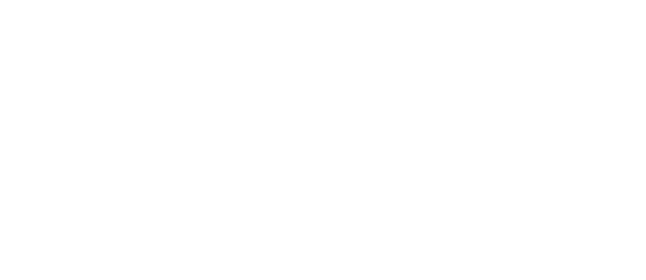 Vladcasino logo